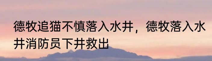 德牧追猫不慎落入水井，德牧落入水井消防员下井救出