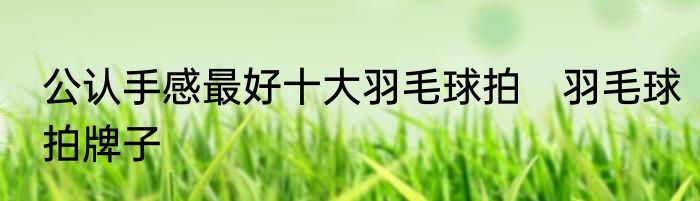 公认手感最好十大羽毛球拍　羽毛球拍牌子