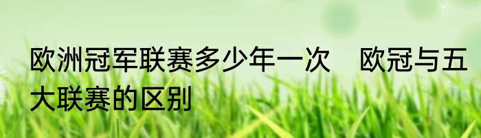 欧洲冠军联赛多少年一次　欧冠与五大联赛的区别