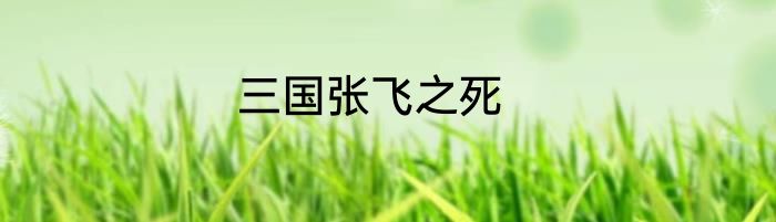 三国张飞之死