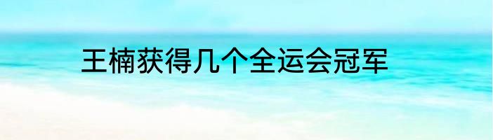 王楠获得几个全运会冠军