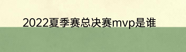 2022夏季赛总决赛mvp是谁