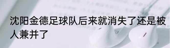 沈阳金德足球队后来就消失了还是被人兼并了