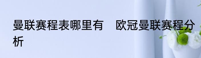 曼联赛程表哪里有　欧冠曼联赛程分析