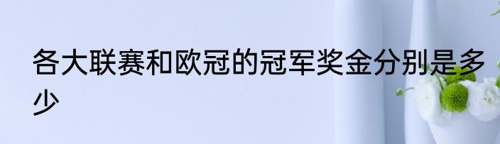 各大联赛和欧冠的冠军奖金分别是多少