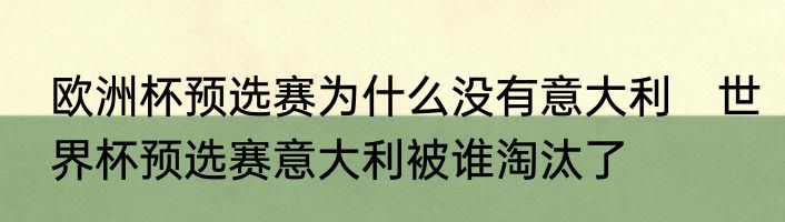 欧洲杯预选赛为什么没有意大利　世界杯预选赛意大利被谁淘汰了