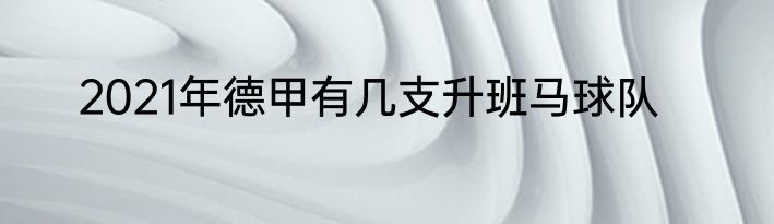 2021年德甲有几支升班马球队