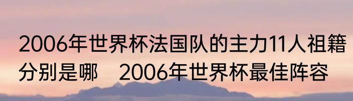 2006年世界杯法国队的主力11人祖籍分别是哪　2006年世界杯最佳阵容