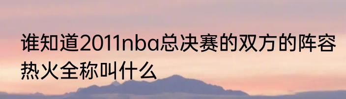 谁知道2011nba总决赛的双方的阵容　热火全称叫什么