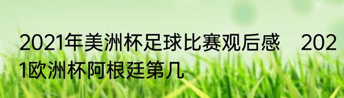 2021年美洲杯足球比赛观后感　2021欧洲杯阿根廷第几