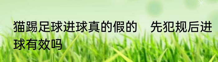 猫踢足球进球真的假的　先犯规后进球有效吗