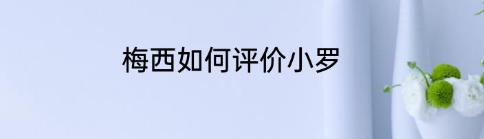 梅西如何评价小罗