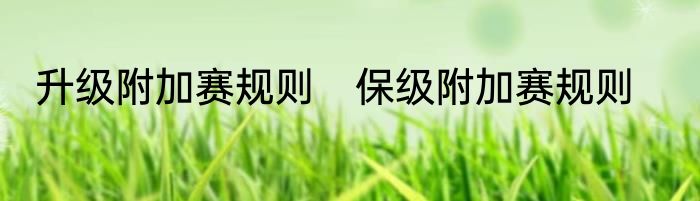 升级附加赛规则　保级附加赛规则