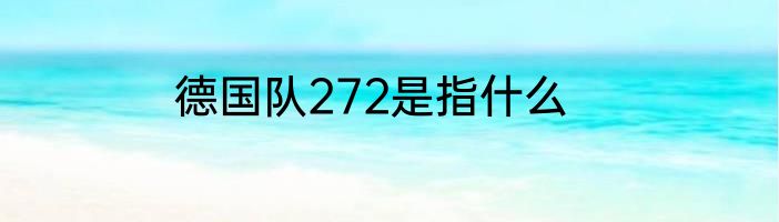 德国队272是指什么