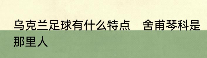 乌克兰足球有什么特点　舍甫琴科是那里人