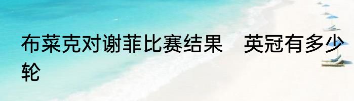 布菜克对谢菲比赛结果　英冠有多少轮