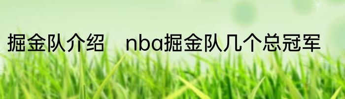 掘金队介绍　nba掘金队几个总冠军
