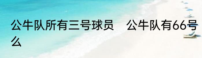 公牛队所有三号球员　公牛队有66号么