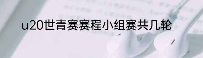 u20世青赛赛程小组赛共几轮