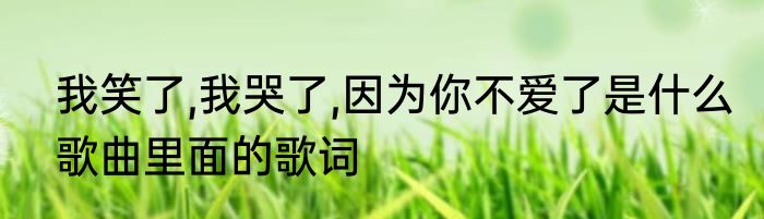 我笑了,我哭了,因为你不爱了是什么歌曲里面的歌词