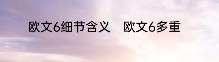 欧文6细节含义　欧文6多重