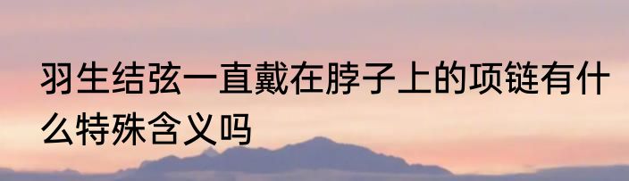 羽生结弦一直戴在脖子上的项链有什么特殊含义吗