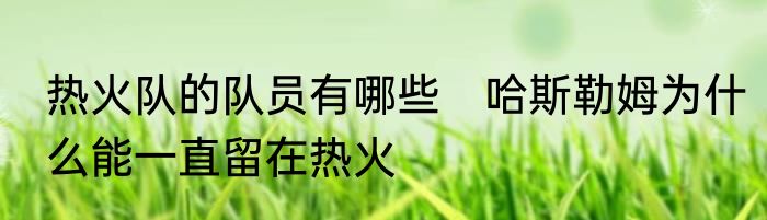 热火队的队员有哪些　哈斯勒姆为什么能一直留在热火