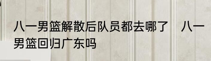 八一男篮解散后队员都去哪了　八一男篮回归广东吗