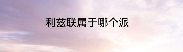 利兹联属于哪个派