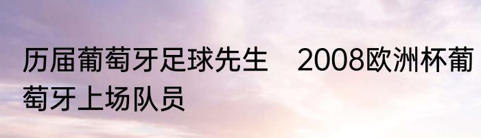 历届葡萄牙足球先生　2008欧洲杯葡萄牙上场队员