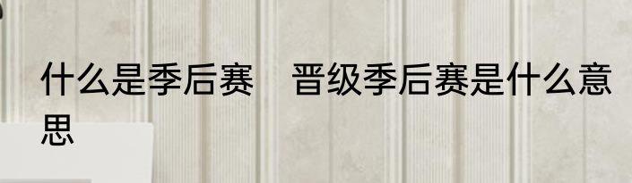 什么是季后赛　晋级季后赛是什么意思