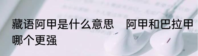 藏语阿甲是什么意思　阿甲和巴拉甲哪个更强