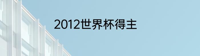 2012世界杯得主