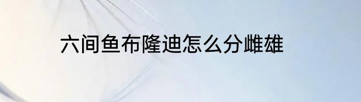六间鱼布隆迪怎么分雌雄
