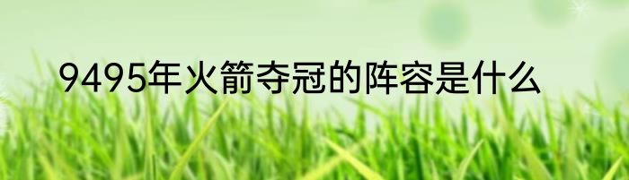 9495年火箭夺冠的阵容是什么