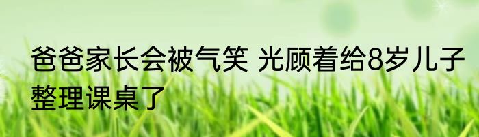 爸爸家长会被气笑 光顾着给8岁儿子整理课桌了
