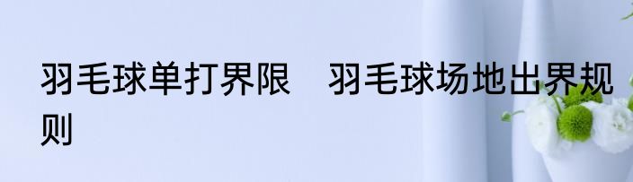 羽毛球单打界限　羽毛球场地出界规则