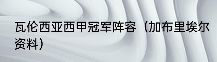 瓦伦西亚西甲冠军阵容（加布里埃尔资料）