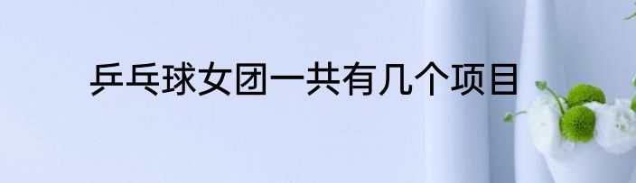 乒乓球女团一共有几个项目