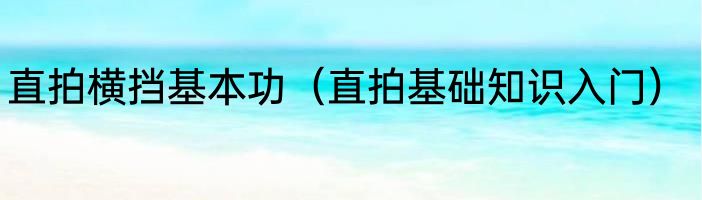 直拍横挡基本功（直拍基础知识入门）