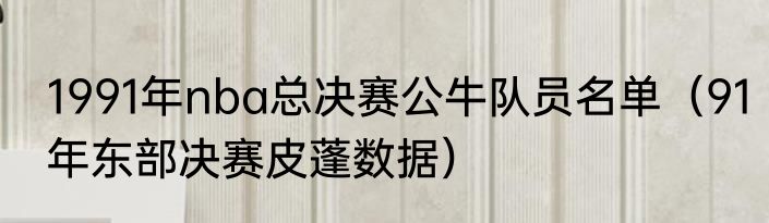 1991年nba总决赛公牛队员名单（91年东部决赛皮蓬数据）