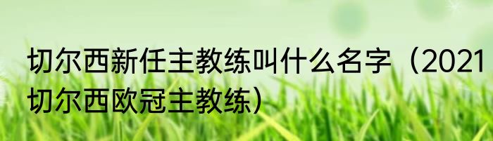 切尔西新任主教练叫什么名字（2021切尔西欧冠主教练）