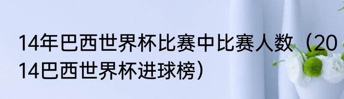14年巴西世界杯比赛中比赛人数（2014巴西世界杯进球榜）