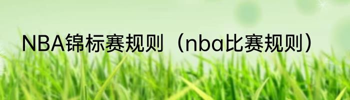 NBA锦标赛规则（nba比赛规则）