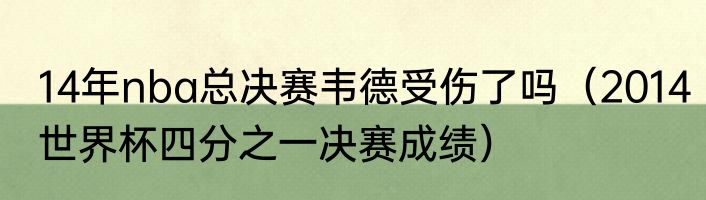 14年nba总决赛韦德受伤了吗（2014世界杯四分之一决赛成绩）
