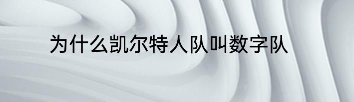 为什么凯尔特人队叫数字队