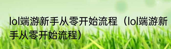 lol端游新手从零开始流程（lol端游新手从零开始流程）