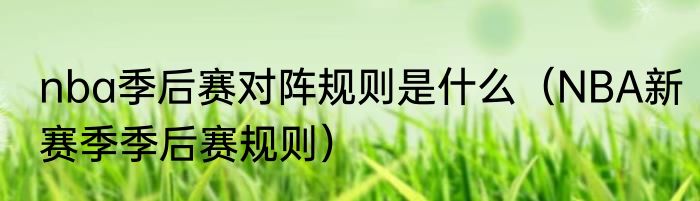 nba季后赛对阵规则是什么（NBA新赛季季后赛规则）