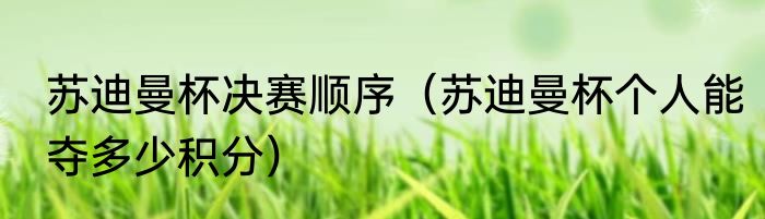 苏迪曼杯决赛顺序（苏迪曼杯个人能夺多少积分）