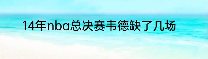 14年nba总决赛韦德缺了几场